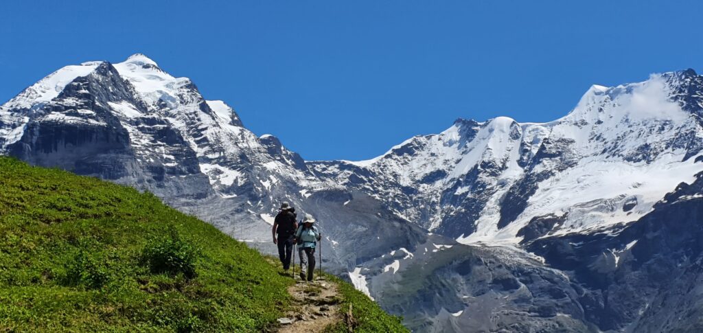 בלוג תמונות ממוזערות